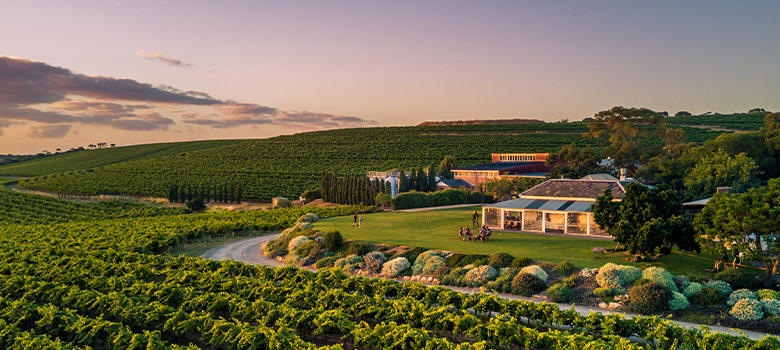 Birds-eye-view of Coriole winery in McLaren Vale at sunrise