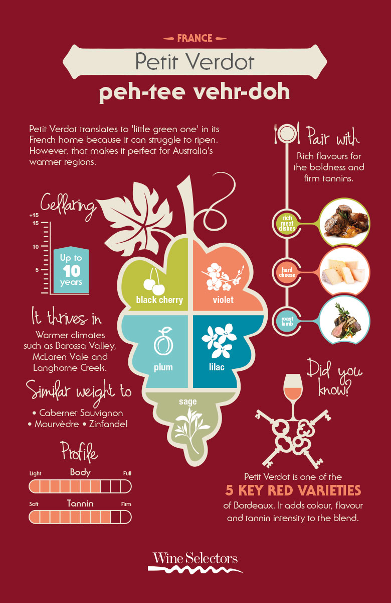 Petit Verdot wine variety infographic and tasting notes