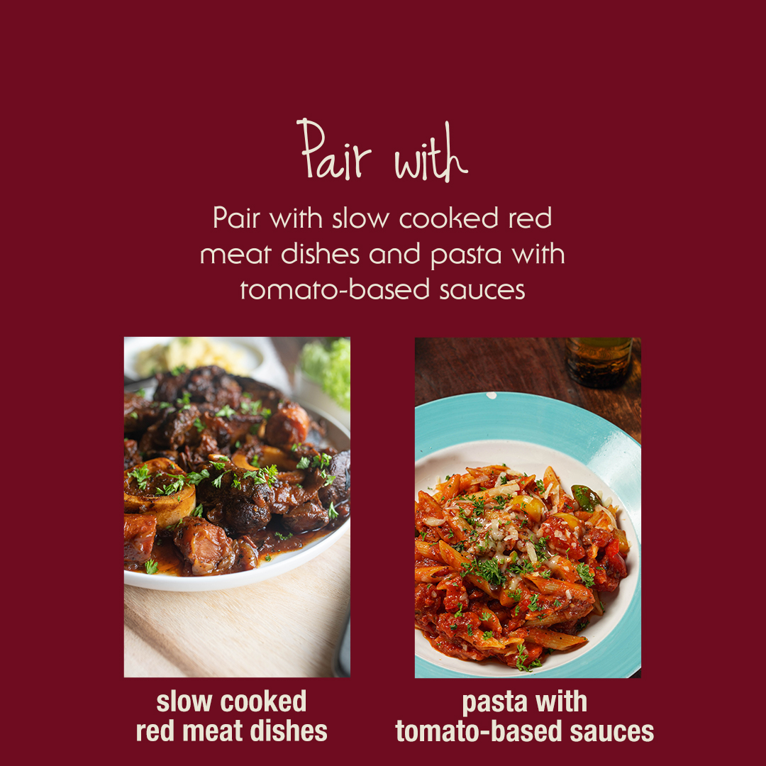 Aglianico wine infographic showing best food pairings of slow cooked red meat dishes and pasta with tomato-based sauces.