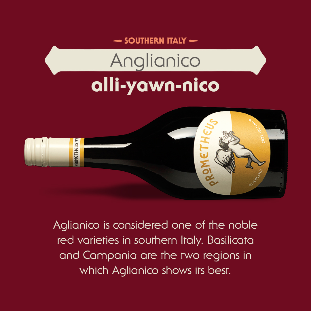 Infographic of Aglianico wine stating that Aglianico is considered one of the noble red wine varieties in Italy.