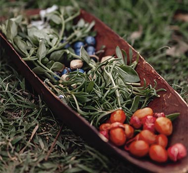 Bowl of leaves sitting on grass