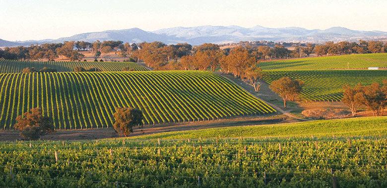 winery tours orange nsw