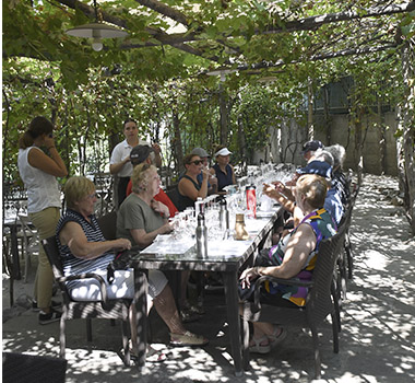 Dining under the vines at Bosci de' Medici Pompeii