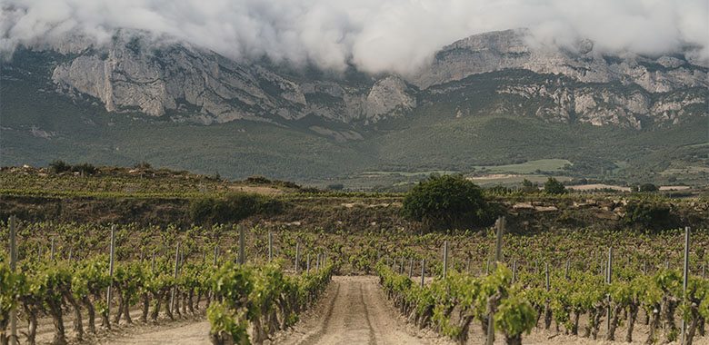 The Heart Of La Rioja