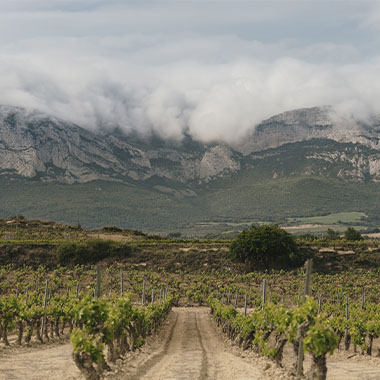 The Heart Of La Rioja