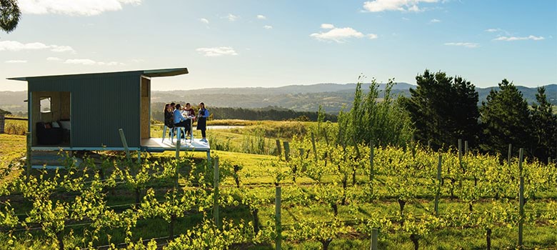 Beautiful views across the vine rows await at The Lane Vineyard (Credit: South Australian Tourism Commission).