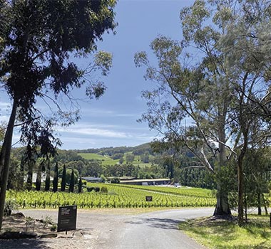 Picturesque Tapanappa Tiers Vineyard