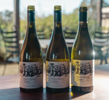 A line up of Stefano Lubiana's white wines on a table