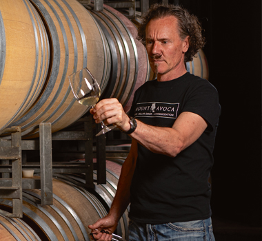 The Mount Avoca vineyard