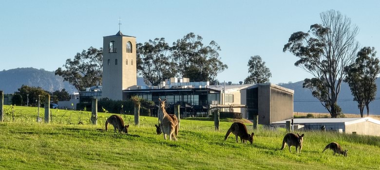 Bimbadgen's beautiful natural setting, award-winning Esca and al fresco dining have made it an unmissable stop on any Hunter Valley wine tour.