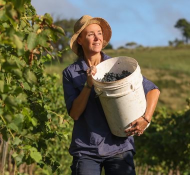 Briar Ridge Wines