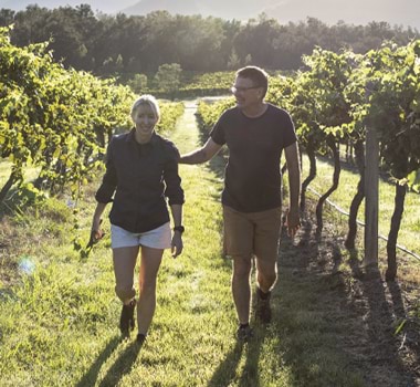 The Little Wine Co