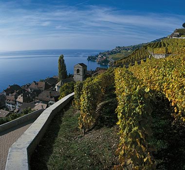 Scaling the tops of the Lavaux wine region in Switzerland.