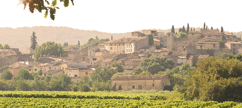 The ubiquitous vine and village vista of Provence in France.