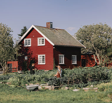 A Lofoten Island 'rebutter' (Credit: Mariell Lind Hansen)