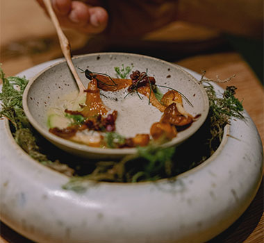 A feast for the senses