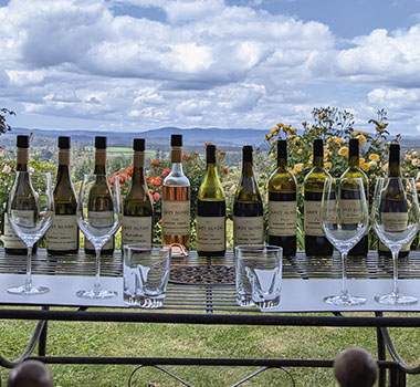Weekenders Guide to Northern Tasmania - Grey Sands Vineyard
