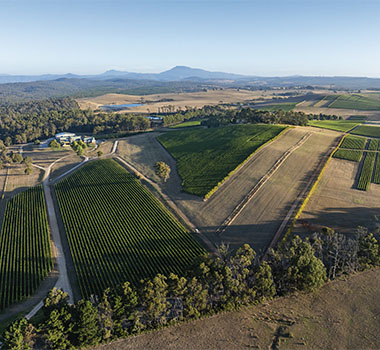 Weekenders Guide to Northern Tasmania - Pipers Brook Vineyard