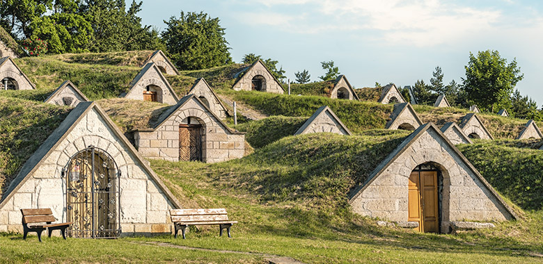 Treats of Tokaj in Hungary