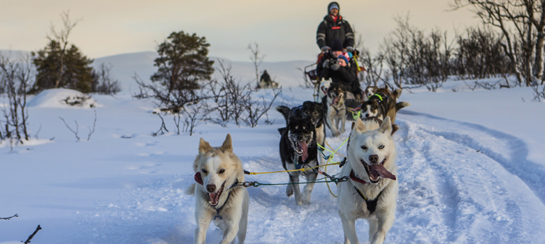 Travel with Hurtigruten