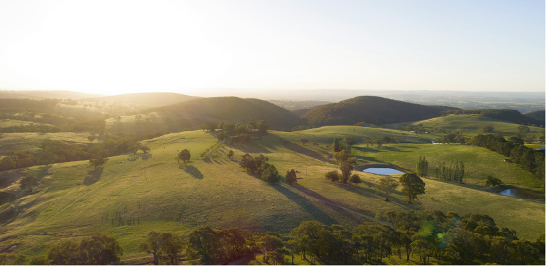 Discover the delicious food and wine of Orange, NSW.