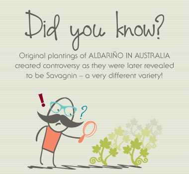 facts about Albarino