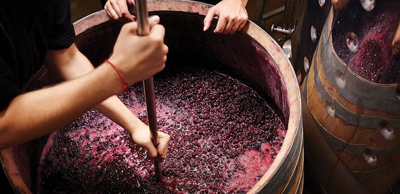 Plunging and stirring the grapes and juices in an oak barrel
