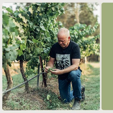 Andrew Thomas Wines