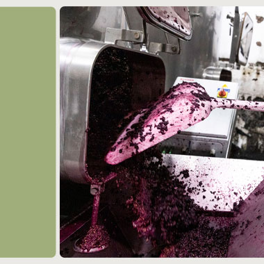 Andrew Thomas Wines