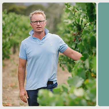 Marty Edwards, Silver lining Wines