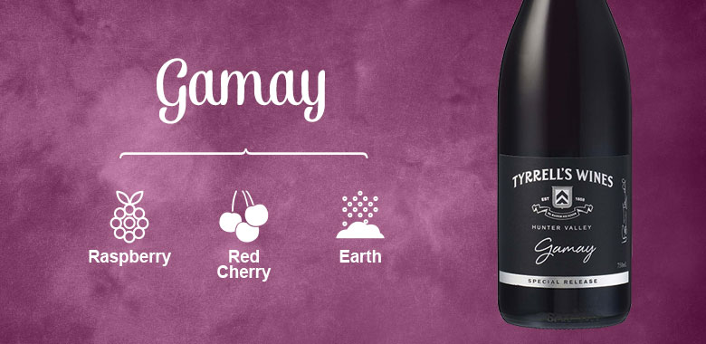 Best Summer Wines - Gamay