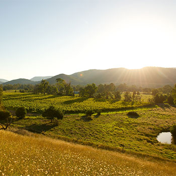 Enjoy the great outdoors in King Valley