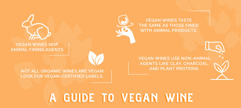 Wine Selector's guide to vegan wine infographic