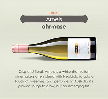 Arneis Wine Infographic