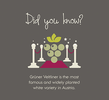 Did you know Grüner Veltliner Infographic
