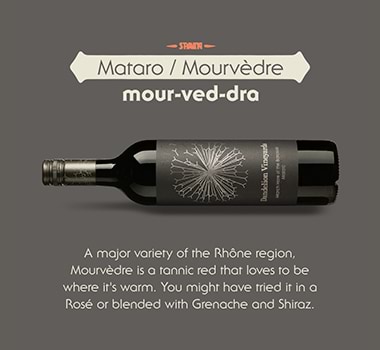 Where is Mourvedre Wine From Infographic
