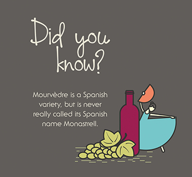 Did you know Mourvedre Infographic