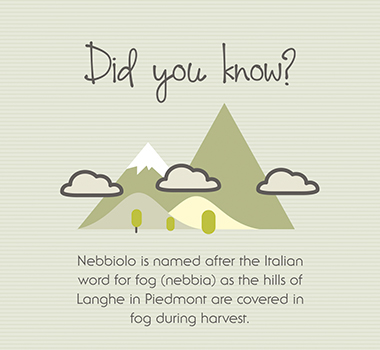 Do you know what Nebbiolo is named after infographic