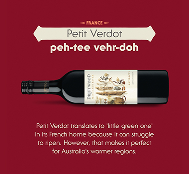 What is Petit Verdot Infographic