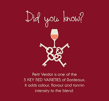 Did you know Petit Verdot Infographic