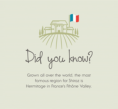 Shiraz Did You Know Infographic