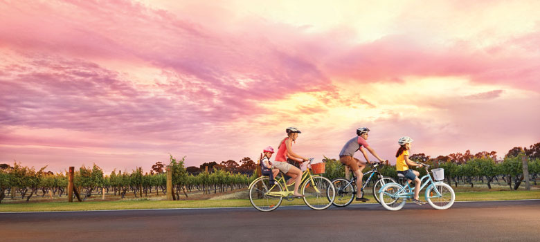 Cycling through vineyards in the Margaret River