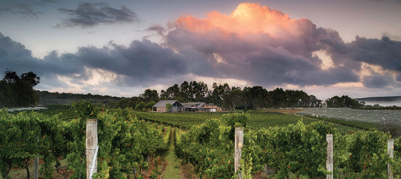 Wills Domain in the Margaret River wine region
