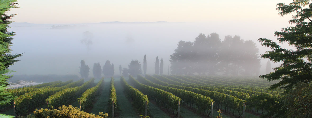 Cherry Tree Hill Wine Selectors