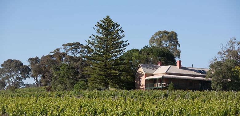 Mitchell Wines Clare Valley