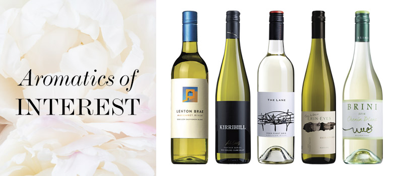 Best White Wines from 2023 Wine Selectors tastings