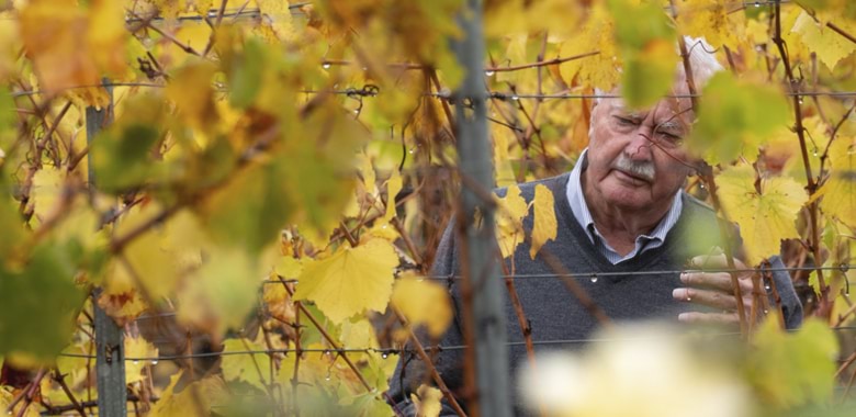 Brian Croser and one of his great loves. The Tiers Chardonnay vineyard.