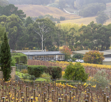 Tapanappa Vineyard
