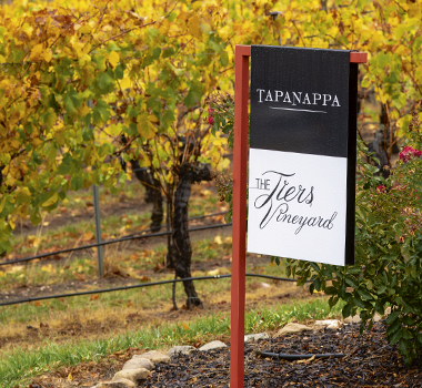 Tapanappa Tiers Vineyard