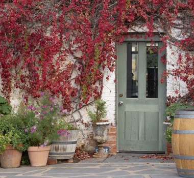 McLaren Vale Shiraz